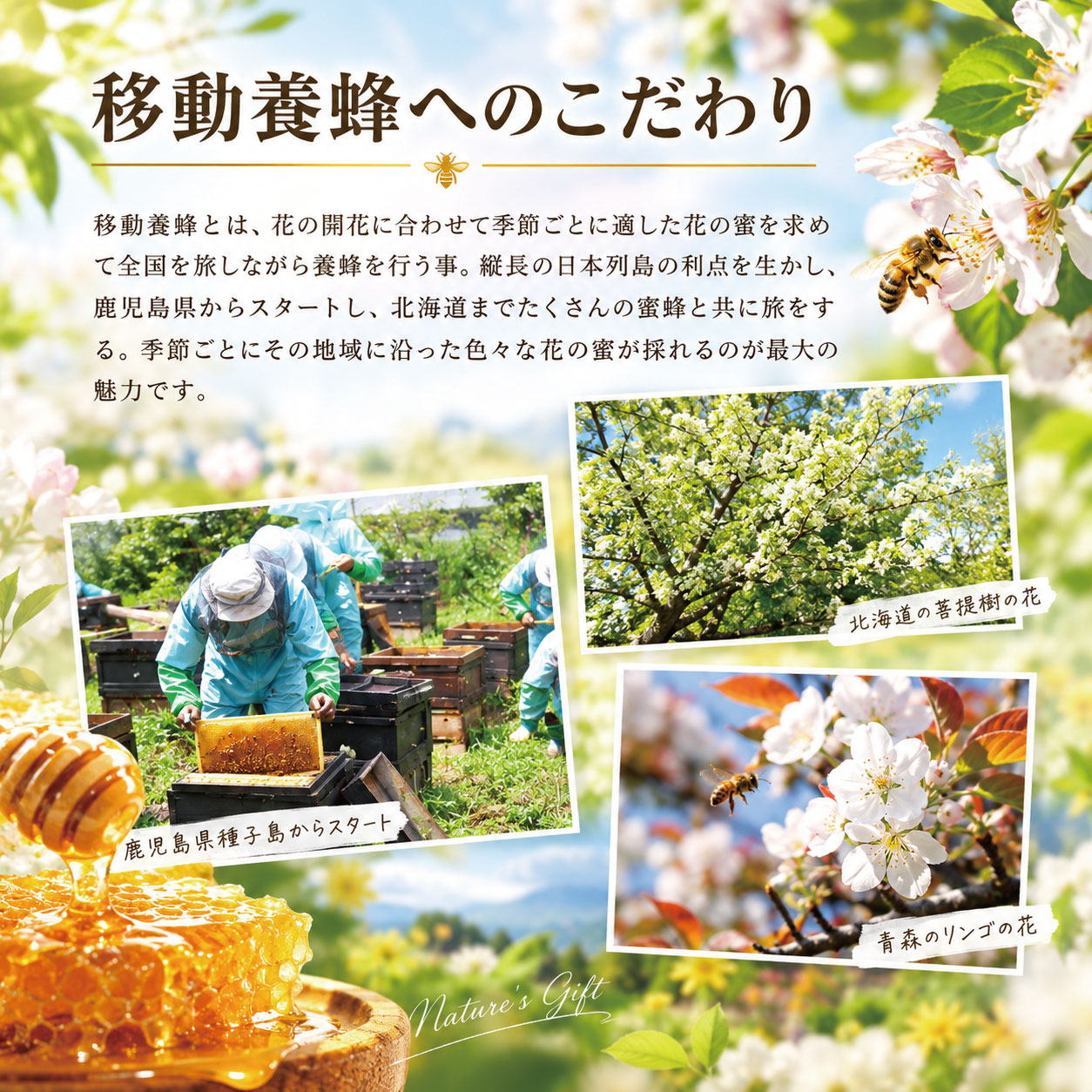 藤井養蜂場