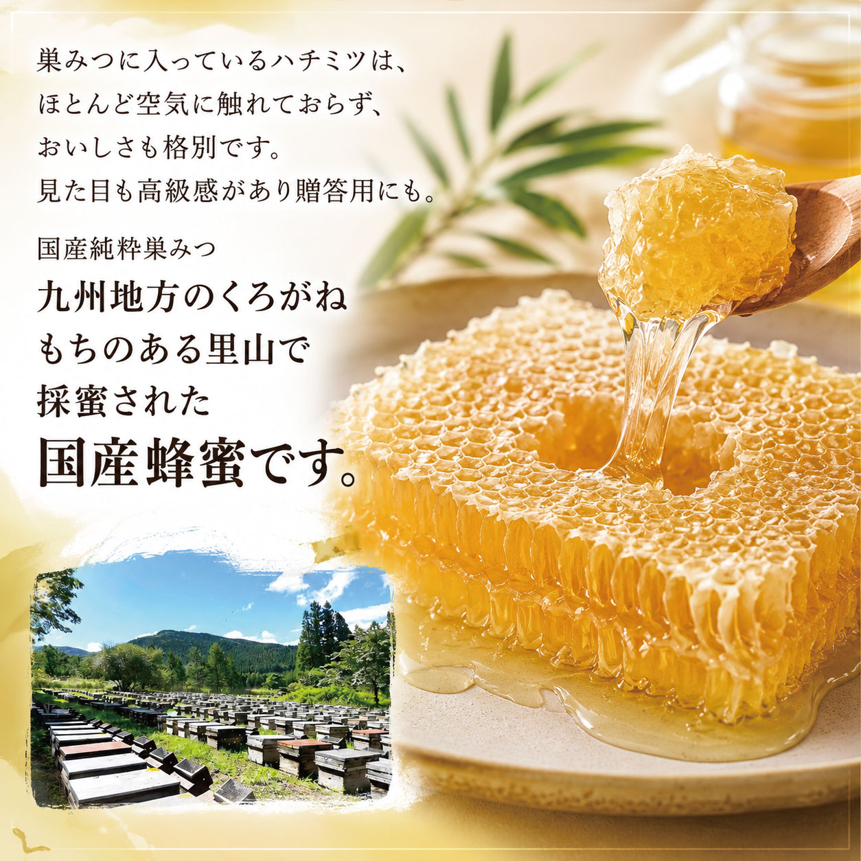 国産巣みつ