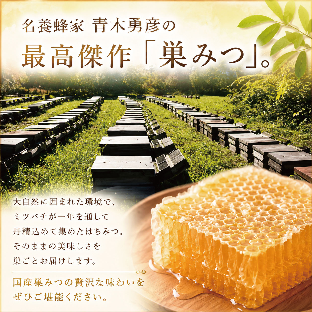 国産巣みつ