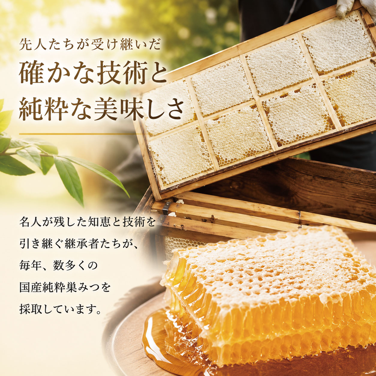 国産巣みつ